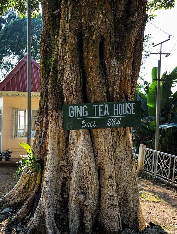 Ging Tea House Guest House Дарджилинг Екстериор снимка